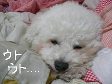 画像 1579.jpg