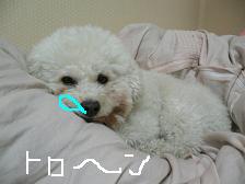 画像 2113.jpg
