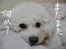 画像 2114.jpg