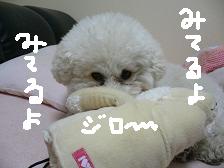 画像 2115.jpg