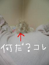 画像 2117.jpg