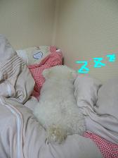 画像 2118.jpg