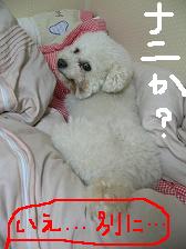 画像 2119.jpg