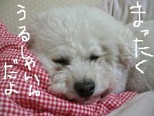 画像 2120.jpg