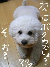 画像 2125.jpg