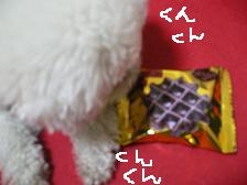 画像 2127.jpg