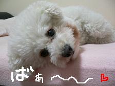 画像 2129.jpg
