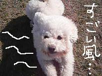 画像 2132.jpg