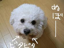 画像 2133.jpg