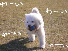 画像 2134.jpg