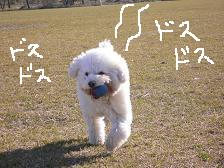 画像 2135.jpg