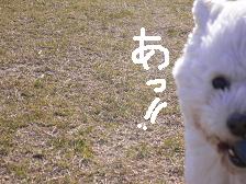 画像 2136.jpg
