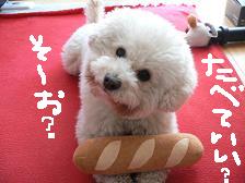 画像 2139.jpg