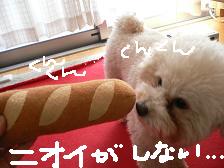 画像 2141.jpg