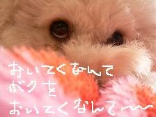 画像 2150.jpg