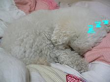 画像 2163.jpg