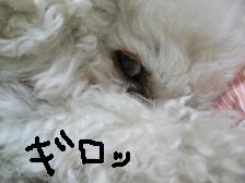 画像 2164.jpg