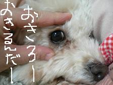 画像 2165.jpg