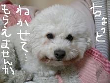 画像 2166.jpg