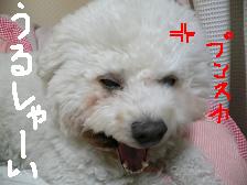 画像 2167.jpg
