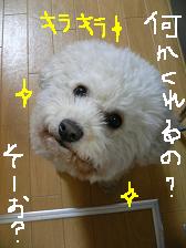 画像 2175.jpg