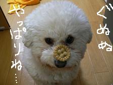 画像 2177.jpg