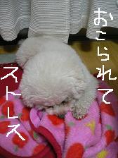 画像 2178.jpg
