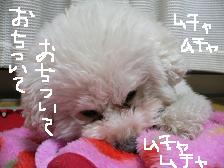 画像 2179.jpg