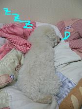 画像 2181.jpg
