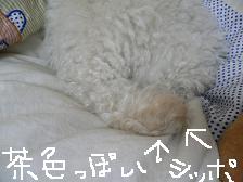 画像 2182.jpg