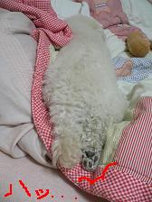 画像 2185.jpg