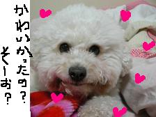 画像 2189.jpg