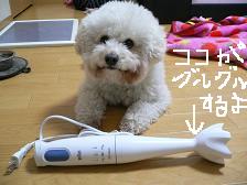 画像 2196.jpg