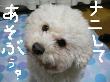 画像 2200.jpg