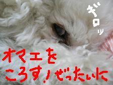 画像 2204.jpg