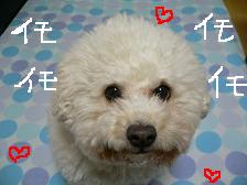画像 2209.jpg