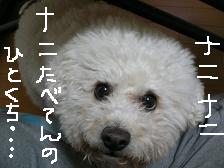 画像 2212.jpg