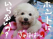 画像 2213.jpg