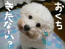 画像 2219.jpg