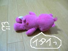 画像 2221.jpg
