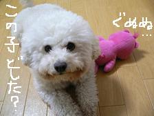 画像 2222.jpg