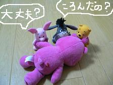 画像 2223.jpg