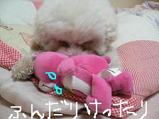 画像 2225.jpg