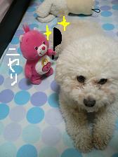 画像 2227.jpg