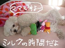 画像 2233.jpg