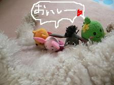画像 2234.jpg