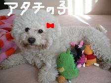 画像 2235.jpg