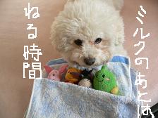 画像 2237.jpg