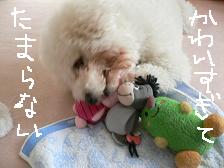 画像 2239.jpg