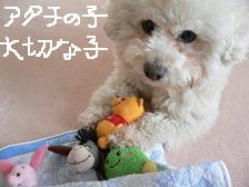 画像 2240.jpg